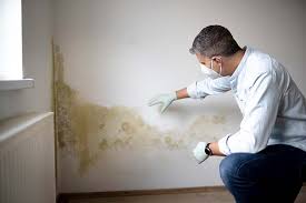 Best Crawl Space Mold Remediation  in Seymour, TN